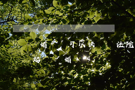 離婚訴訟可以快遞給法院嗎(可以直接去法院起訴離婚嗎?)