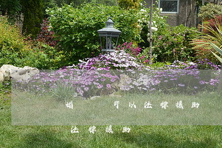 離婚訴訟可以法律援助嗎(打離婚官司可以申請法律援助嗎)