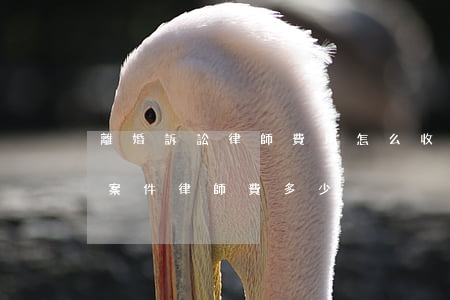 離婚訴訟律師費用怎么收取(離婚律師費離婚案件律師費多少)