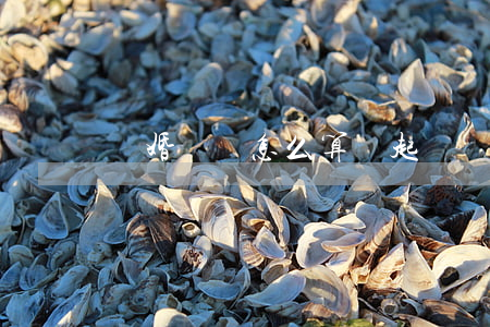 離婚訴訟怎么算贏(起訴離婚勝算有多大)