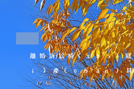 離婚訴訟時(shí)寫沒有共同財(cái)產(chǎn)其實(shí)有應(yīng)該怎樣處理