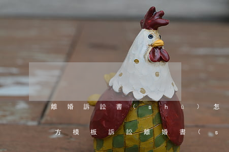 離婚訴訟書(shū)怎么寫(xiě) 女方模板(訴訟離婚書(shū)面模板)