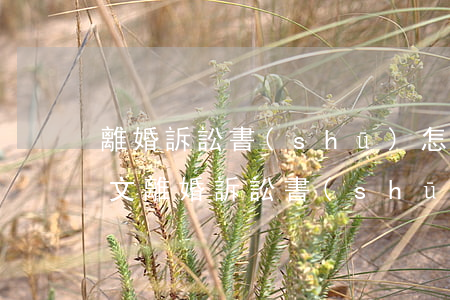 離婚訴訟書(shū)怎么寫(xiě)范文(離婚訴訟書(shū)怎么寫(xiě)范文 女)