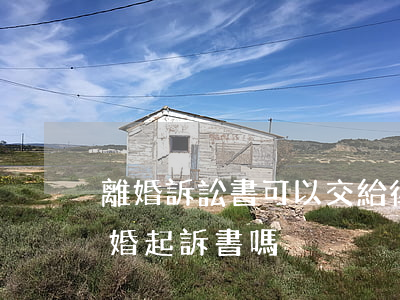離婚訴訟書可以交給律師寫嗎(自己可以寫離婚起訴書嗎)
