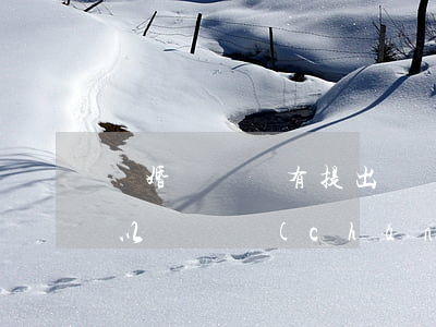 離婚訴訟沒有提出財產(chǎn)分割可以嗎(財產(chǎn)沒有分割法院可以判決離婚嗎)