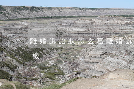 離婚訴訟狀怎么寫(離婚訴訟狀怎么寫女方模板)