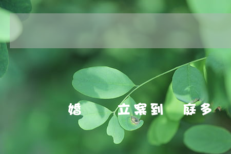 離婚訴訟立案到開庭多長時間