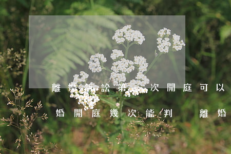 離婚訴訟第一次開庭可以判決離婚嗎(起訴離婚開庭幾次能判決離婚)