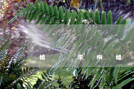 離婚訴訟請求樣例(離婚訴訟請求樣例)