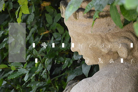離婚訴訟財(cái)產(chǎn)被凍結(jié)怎么應(yīng)對(duì)(離婚訴訟可以凍結(jié)對(duì)方財(cái)產(chǎn)嗎)