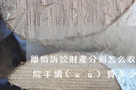離婚訴訟財產分割怎么收費(離婚財產分割法院手續(xù)費多少)
