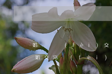 離婚訴訟費(fèi)交完多久能開庭(起訴離婚交完費(fèi)用多久能開庭)