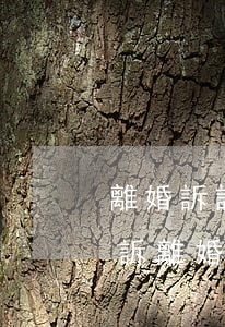 離婚訴訟費(fèi)可以找別人代繳嗎(起訴離婚律師可以代理起訴嗎)