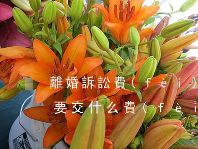 離婚訴訟費(fèi)怎么交(訴訟離婚都需要交什么費(fèi)用)