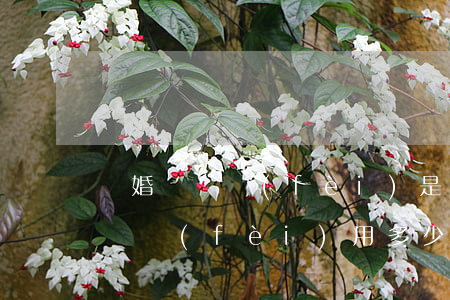 離婚訴訟費(fèi)是多少錢(一般離婚訴訟費(fèi)用多少)