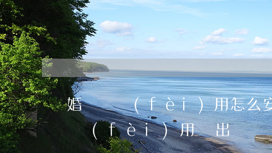 離婚訴訟費(fèi)用怎么安排的(離婚訴訟費(fèi)用誰出)