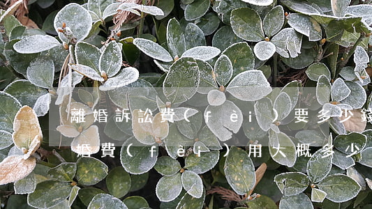 離婚訴訟費(fèi)要多少錢(法院訴訟離婚費(fèi)用大概多少)