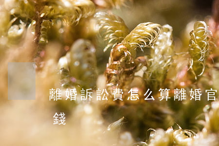 離婚訴訟費怎么算(離婚官司訴訟費一般多少錢)
