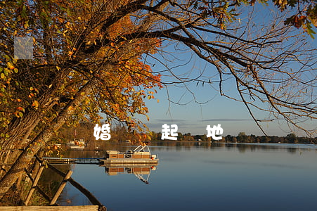 離婚訴訟起訴地