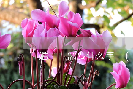 離婚訴訟需要什么手續(xù)