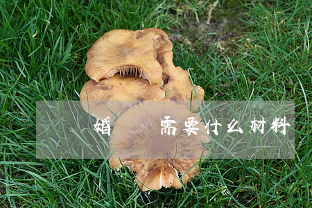 離婚訴訟需要什么材料