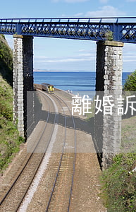 離婚訴訟需要準備什么材料