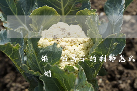 離婚評估房子的利弊(怎么能讓房子評估偏低離婚)