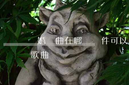 離婚詞曲在哪個軟件可以看(離婚了可以聽的歌曲)