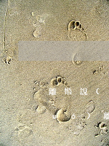 離婚說(shuō)女方話題(女孩說(shuō)離婚了怎么回答)