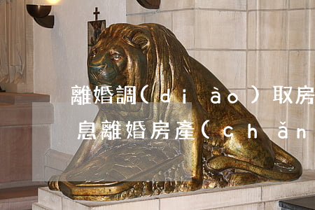 離婚調(diào)取房產(chǎn)信息(離婚房產(chǎn)過戶手續(xù))
