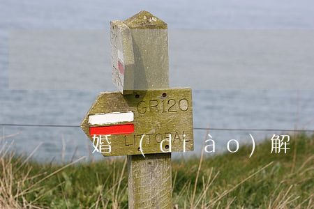 離婚調(diào)解協(xié)議書