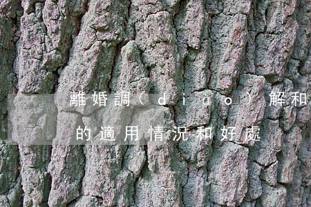 離婚調(diào)解和離婚談判法律服務的適用情況和好處