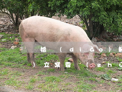 離婚調(diào)解失敗轉(zhuǎn)立案要準(zhǔn)備什么(離婚案件先調(diào)解)