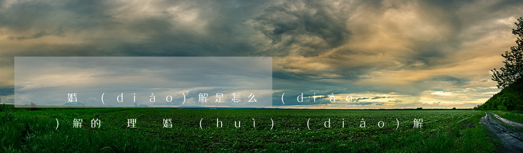 離婚調(diào)解是怎么調(diào)解的(辦理離婚會(huì)調(diào)解嗎?)