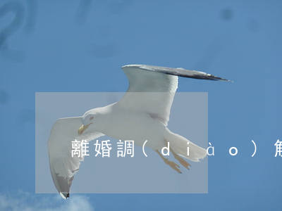 離婚調(diào)解書(shū)樣本