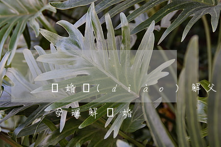 離婚調(diào)解父母參與(如何說服父母理解離婚)