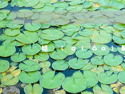 離婚調(diào)解程序