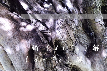 離婚調(diào)解賠多少錢(離婚起訴調(diào)解)