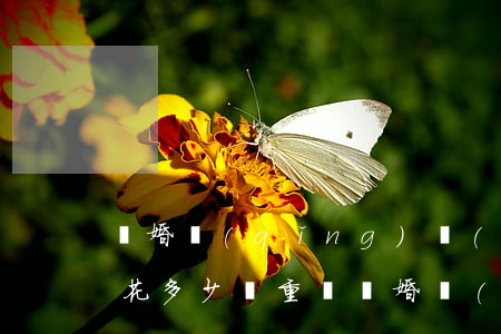 離婚請(qǐng)個(gè)律師大概要花多少錢重慶(離婚請(qǐng)個(gè)律師需要多少錢?)
