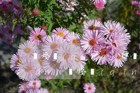 離婚請(qǐng)律師一般多少錢(qián)(離婚請(qǐng)個(gè)律師需要多少錢(qián)?)