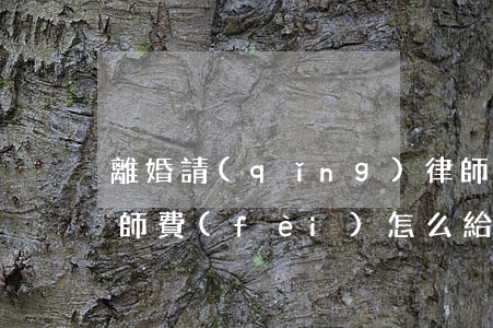 離婚請(qǐng)律師要花多少錢(離婚律師費(fèi)怎么給)