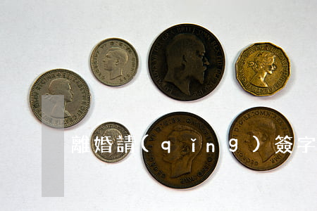 離婚請(qǐng)簽字唐念