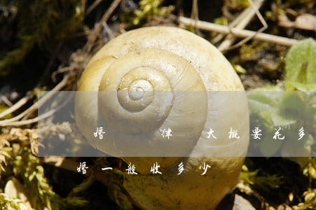 離婚請個律師大概要花多少錢重慶(律師辦離婚一般收多少錢)