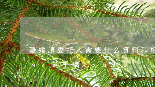 離婚請委托人需要什么資料和相關(guān)的手續(xù)