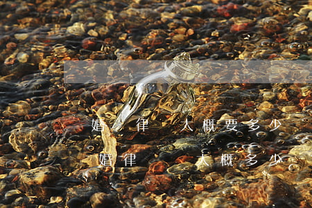 離婚請律師大概要多少錢(現(xiàn)在離婚律師費大概多少錢)