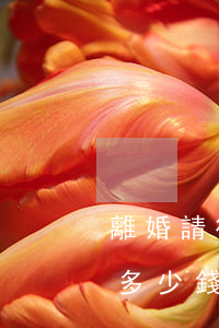 離婚請律師大約多少錢(離婚請律師費一般是多少錢) 離婚請律師大約多少錢(離婚請律師費一般是多少錢)