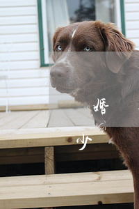 離婚請律師費用多少(離婚請律師費一般是多少錢)
