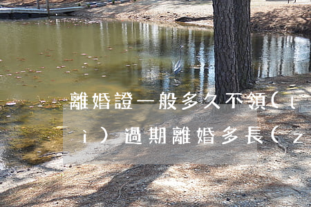 離婚證一般多久不領(lǐng)會(huì)過期(離婚多長(zhǎng)時(shí)間可以領(lǐng)取離婚證)