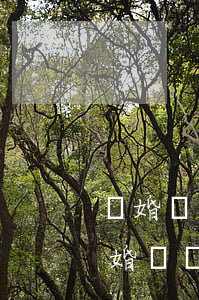 離婚證丟了怎么辦要到哪里補(bǔ)辦(離婚證丟了去哪里補(bǔ)辦呢)