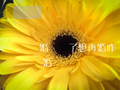 離婚證丟了想再婚咋辦(離婚證丟了再婚需要離婚證嗎)
